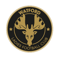 Watford Ladies FC Football Club Web Design