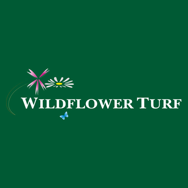 Wildflower Turf WordPress Web Design